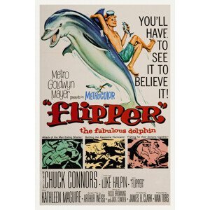 Obrazová reprodukce Flipper, The Fabulous Dolphin (Vintage Cinema / Retro Movie Theatre Poster / Iconic Film Advert), (26.7 x 40 cm)