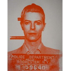 Studwell, David - Obrazová reprodukce David Bowie, 2016, (30 x 40 cm)