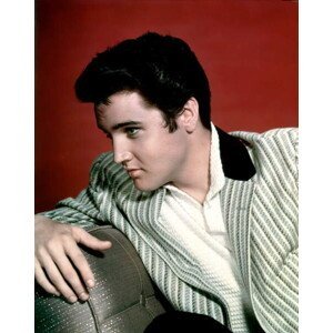 Umělecká fotografie Elvis Presley, (30 x 40 cm)