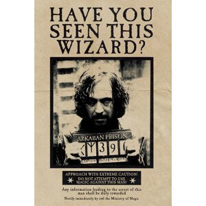 Umělecký tisk Harry Potter - Wanted Sirius Black, (26.7 x 40 cm)