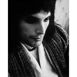Umělecká fotografie Singer Freddie Mercury (1946-1991) in The 70'S, (30 x 40 cm)