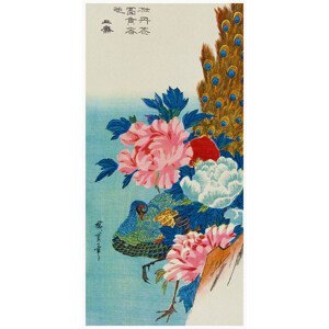 Obrazová reprodukce The Peacock & The Peonies (Japan) - Utagawa Hiroshige, (20 x 40 cm)