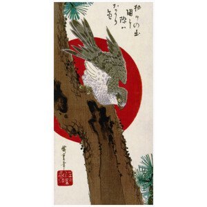 Obrazová reprodukce The Hawk & The Red Sun (Japan) - Utagawa Hiroshige, (20 x 40 cm)