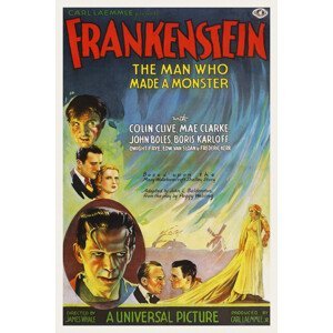 Obrazová reprodukce Frankenstein / Boris Karloff (Retro Movie), (26.7 x 40 cm)