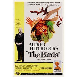 Obrazová reprodukce The Birds / Alfred Hitchcock / Tippi Hedren (Retro Movie), (26.7 x 40 cm)