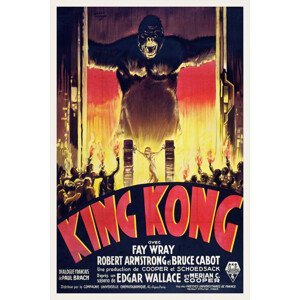 Obrazová reprodukce King Kong / Fay Wray (Retro Movie), (26.7 x 40 cm)