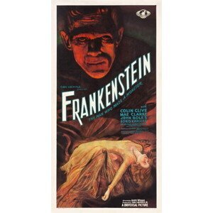 Anonymous - Obrazová reprodukce Frankenstein, 1931, (20 x 40 cm)