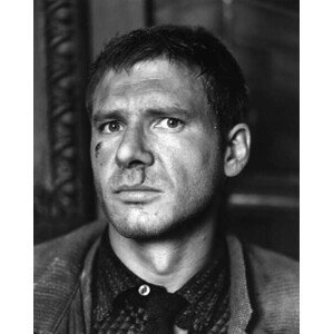 Umělecká fotografie Harrison Ford, Blade Runner, (30 x 40 cm)