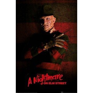 Plakát, Obraz - Noční můra v Elm Street - Freddy Krueger, (61 x 91.5 cm)