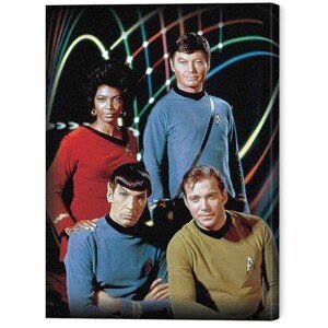 Obraz na plátně Star Trek - Kirk, Spock, Uhura & Bones, (40 x 50 cm)