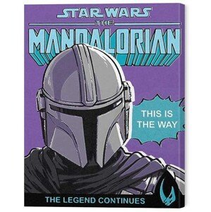 Obraz na plátně Star Wars: The Mandalorian 2 - This is the Way, (40 x 50 cm)