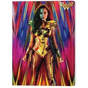 Obraz na plátně Wonder Woman 1984 - Neon Static, (60 x 80 cm)