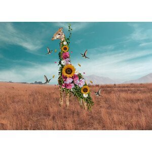 Umělecká fotografie Giraffe, Salome Zhividze, (40 x 30 cm)