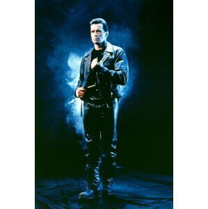 Umělecká fotografie Arnold Schwarzenegger, (26.7 x 40 cm)