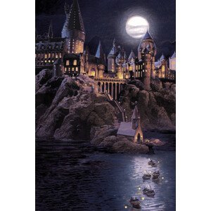 Umělecký tisk Harry Potter - Hogwarts full moon, (26.7 x 40 cm)