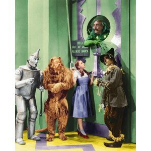 Umělecká fotografie The Wizard of Oz, (30 x 40 cm)