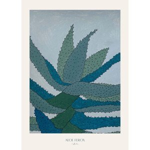 Ilustrace Aloe Ferox, Annika John, (30 x 40 cm)