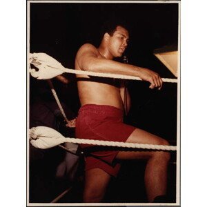 Umělecká fotografie Muhammad Ali, (30 x 40 cm)