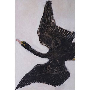Obrazová reprodukce The Black Swan (2 of 2) - Hilma af Klint, (26.7 x 40 cm)