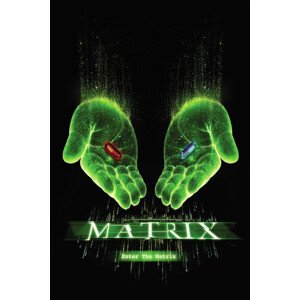Umělecký tisk Matrix - Choose your path, (26.7 x 40 cm)