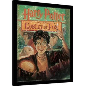 Obraz na zeď - Harry Potter - Ohnivý Pohár