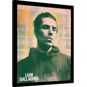 Obraz na zeď - Liam Gallagher - Polaroids