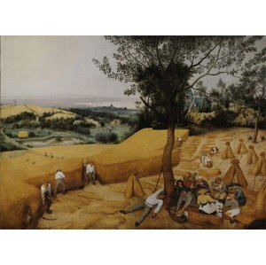 Bruegel, Pieter the Elder - Obrazová reprodukce The Harvesters, (40 x 30 cm)