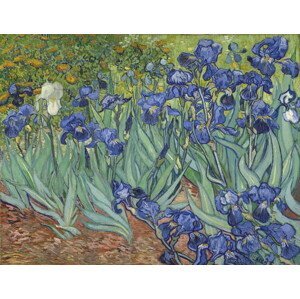 Gogh, Vincent van - Obrazová reprodukce Irises, 1889, (40 x 30 cm)