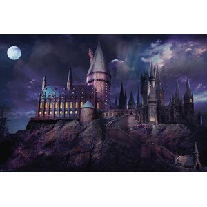 Umělecký tisk Harry Potter - Hogwarts night, (40 x 26.7 cm)