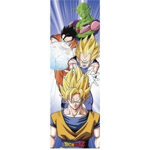 Plakát, Obraz - Dragon Ball - Saiyans, (53 x 158 cm)
