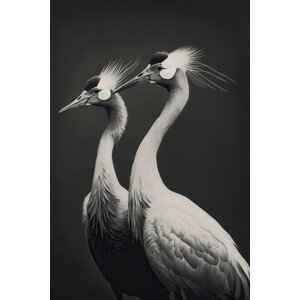 Umělecká fotografie Cranes, Treechild, (26.7 x 40 cm)
