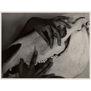 Umělecká fotografie Hands & Horse Skull (Georgia O’Keeffe) - Alfred Stieglitz, (40 x 30 cm)