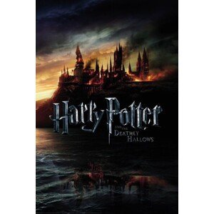 Plakát, Obraz - Harry Potter and the Deadly Hallows: Part 2 - Burning Hogwarts, (80 x 120 cm)
