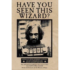Plakát, Obraz - Harry Potter - Wanted Sirius Black, (80 x 120 cm)