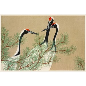 Ilustrace Red Crown Cranes from Momoyogusa - Kamisaka Sekka, (40 x 26.7 cm)
