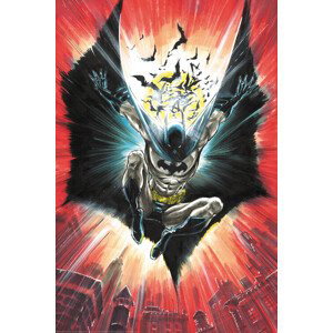 Umělecký tisk Batman - Dark Knighht of Gotham, (26.7 x 40 cm)