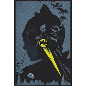 Umělecký tisk Catwoman & Batman - Protectors of Gotham, (26.7 x 40 cm)
