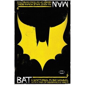 Umělecký tisk Batman - Nocturnal, (26.7 x 40 cm)