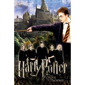 Umělecký tisk Harry Potter - Friends, (26.7 x 40 cm)