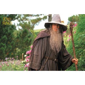 Umělecký tisk Lord of the Rings - Gandalf, (40 x 26.7 cm)