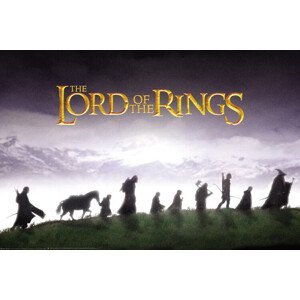 Umělecký tisk Lord of the Rings - Group, (40 x 26.7 cm)