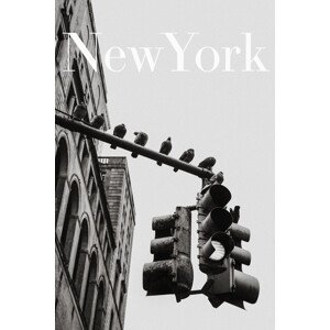 Umělecká fotografie NYC Doves, Rikard Martin, (26.7 x 40 cm)