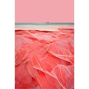 Ilustrace Coral Beach, Treechild, (26.7 x 40 cm)