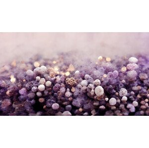Umělecká fotografie Purple Pepples, Treechild, (40 x 22.5 cm)
