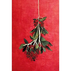 Ilustrace Painted Mistletoe, Treechild, (26.7 x 40 cm)