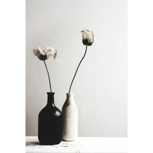 Umělecká fotografie Black And White Vase No 2, Treechild, (26.7 x 40 cm)