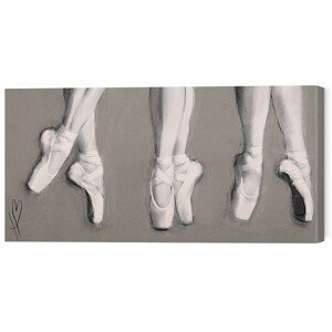 Obraz na plátně Loui Jover - Hazel Bowman - Dancing Feet, (60 x 30 cm)