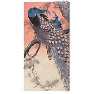 Obraz na plátně Ohara Koson - Two Peacocks on Tree Branch, (30 x 60 cm)