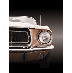 Umělecká fotografie American classic car Mustang Coupe 1968, Beate Gube, (30 x 40 cm)