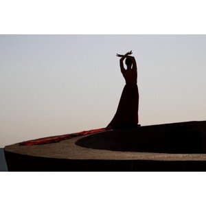 Umělecká fotografie Dancing Shadow, Anna Kogan, (40 x 26.7 cm)